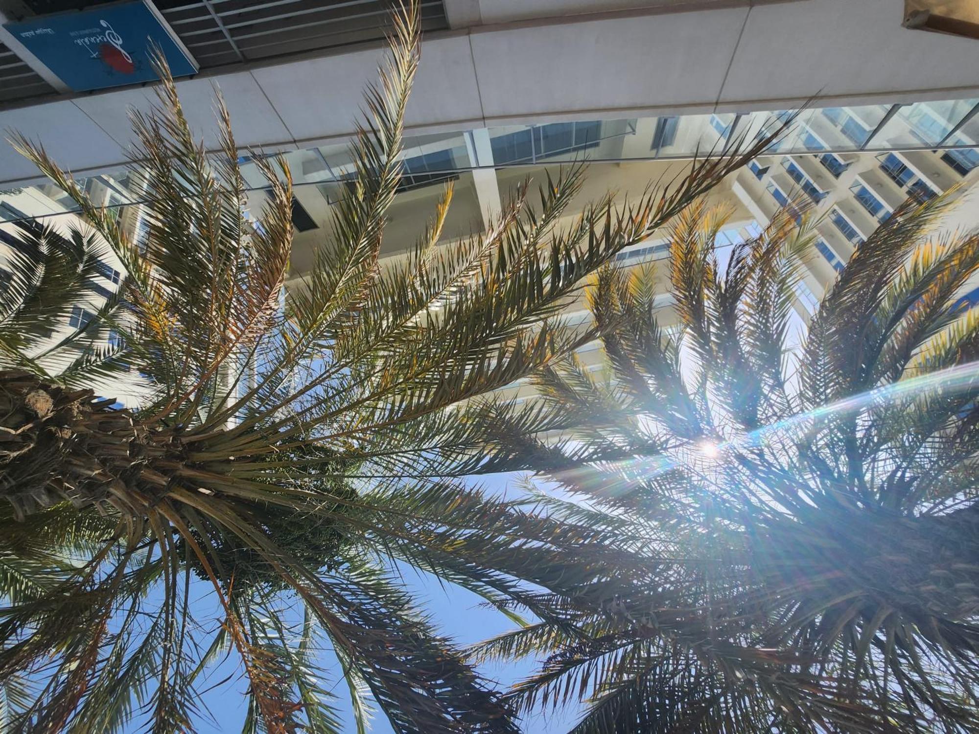 Marjan Island Beautiful Apartment Sea Side View Beach Luxury Rooms Ras Al Khaimah Uae Luaran gambar